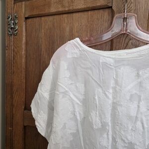 WILFRED | White Sheer Appliqué Crop Top – Women’s XXS